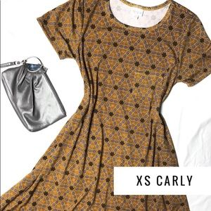 NWT Carly swing dress